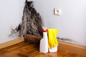 Best Residential Mold Inspection & Testing  in Alondra Park, CA